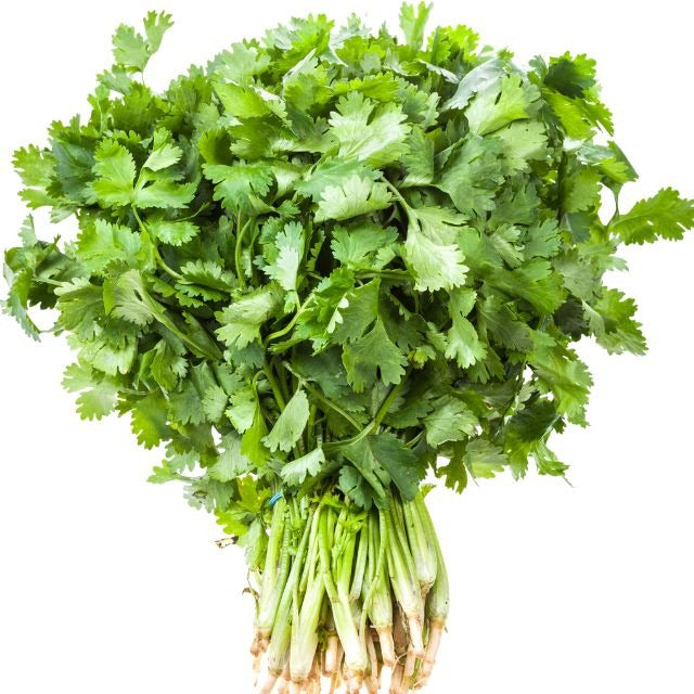 Fresh Coriander Katta