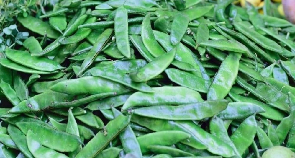 Broad Beans (Chikkudu Kaya)