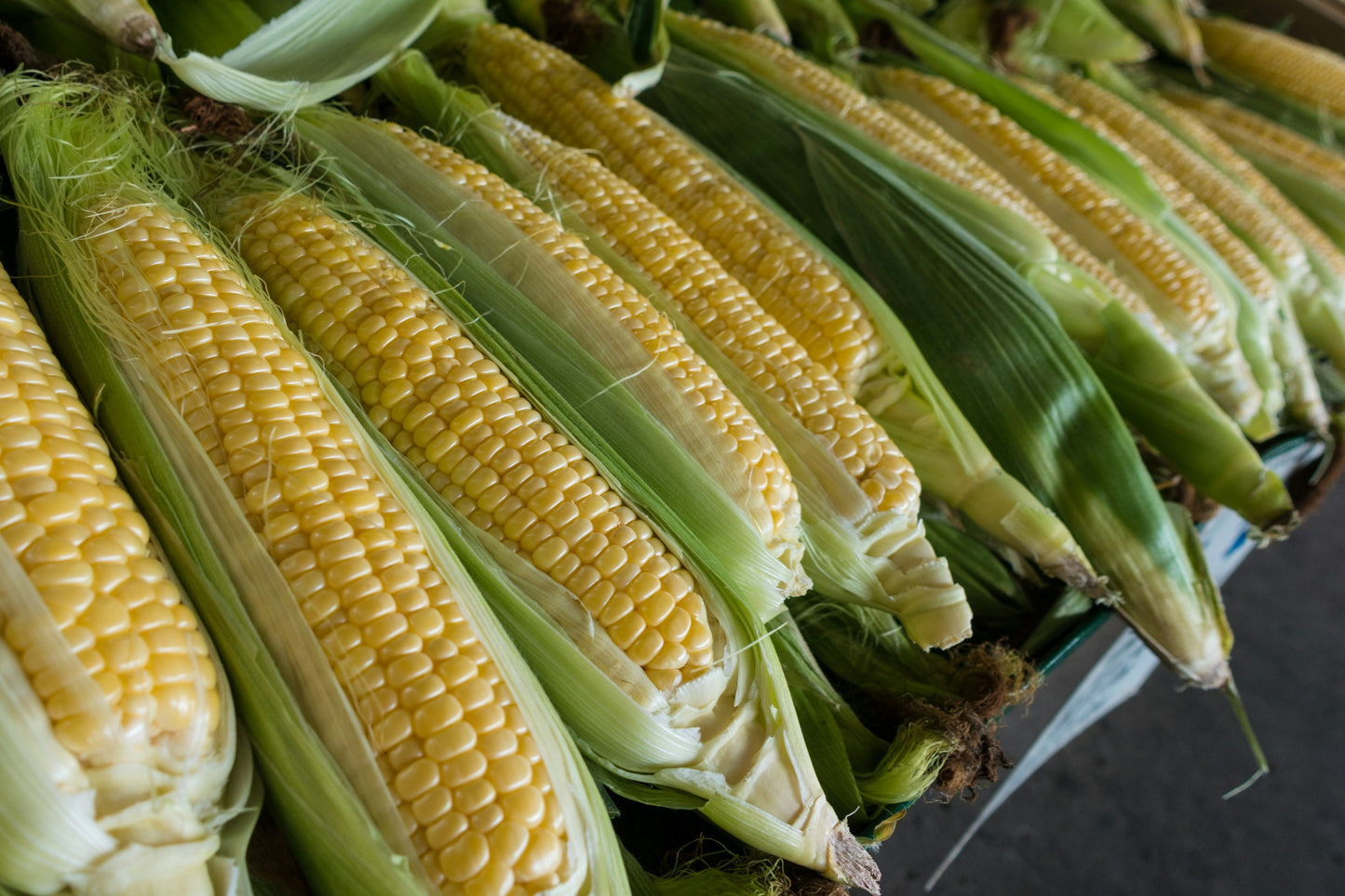 Sweet Corn