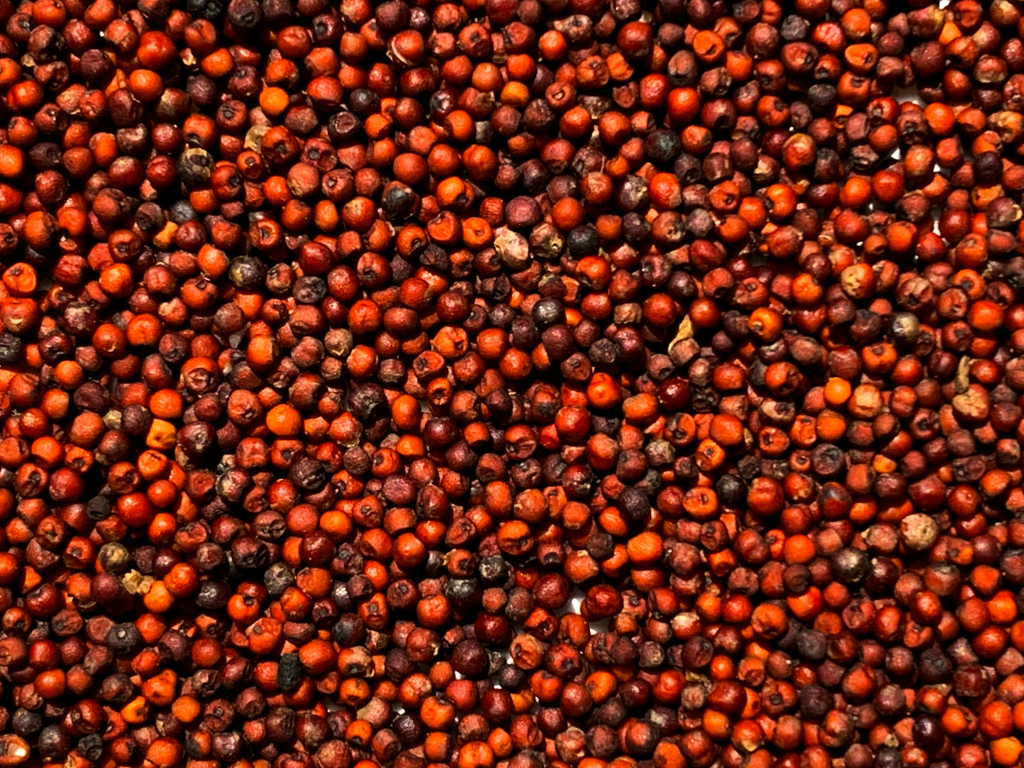 Finger Millet