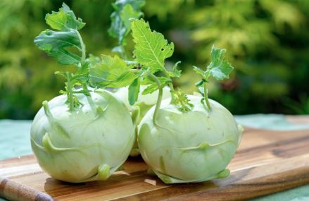 Green Knol Khol