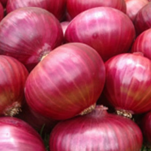 Onions