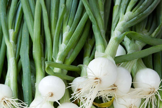Spring Onions