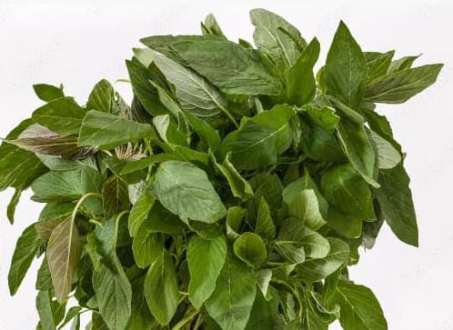 Amaranth (Thotakura) Katta