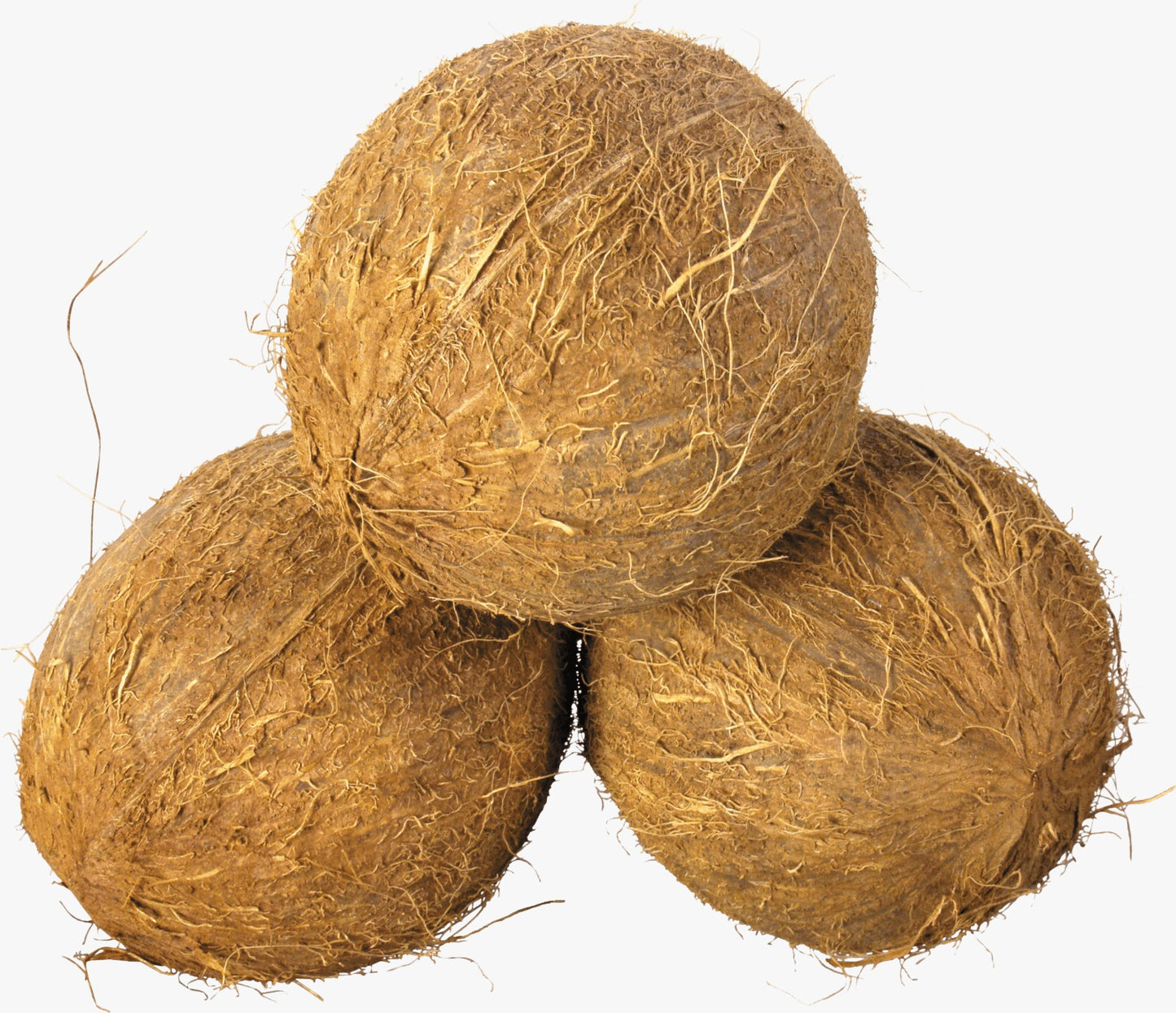Coconut / Nariyal