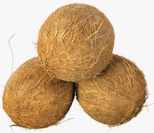 Coconut / Nariyal