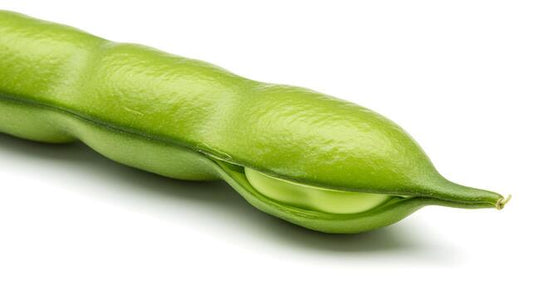 Broad Beans (Chikkudu Kaya)